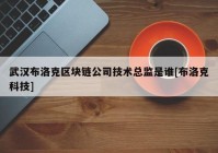 武汉布洛克区块链公司技术总监是谁[布洛克科技]